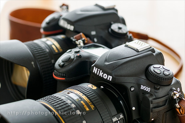 美品 Nikon D500 16-80mm ズームレンズキット ショット数少